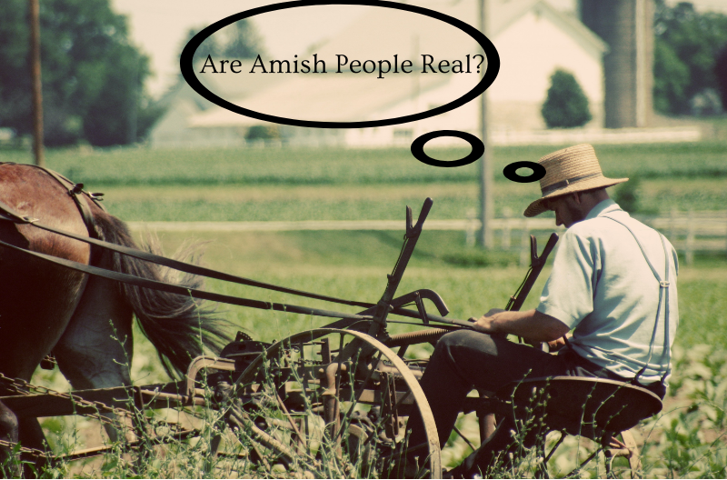 Do Amish people still exist? The answer may surprise you
